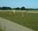 Ferric sludge reedbed treatment for Essex & Suffolk Water