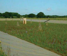 Ferric sludge reedbed treatment for Essex & Suffolk Water
