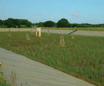 Ferric sludge reedbed treatment for Essex & Suffolk Water