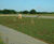 Ferric sludge reedbed treatment for Essex & Suffolk Water 0