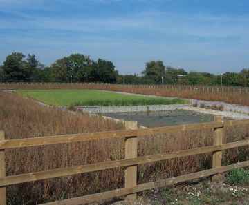 Surface water run-off solution for distribution centre
