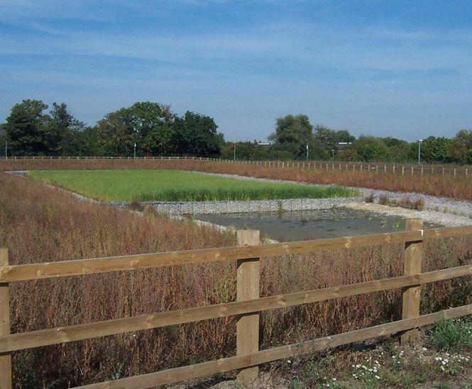 Surface water run-off solution for distribution centre