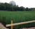 Aerated saturated vertical flow reedbed for Welsh Water 1
