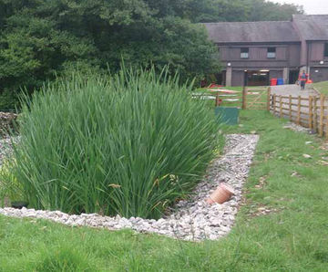 Aerated saturated vertical flow reedbed - outdoor centre