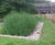 Aerated saturated vertical flow reedbed - outdoor centre 0