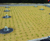Vertical flow aerated wetland for Severn Trent Water - on this page