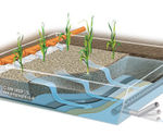 Horizontal flow reed beds for treating wastewater