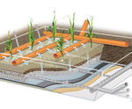 Vertical Flow Reedbeds enhance and improve wastewater treatment