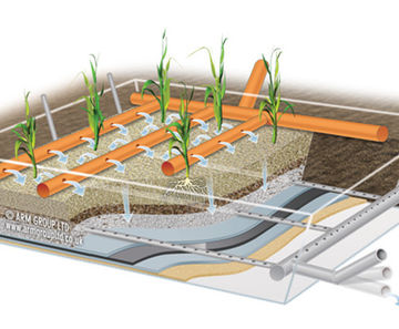 Vertical Flow Reedbeds enhance and improve wastewater treatment