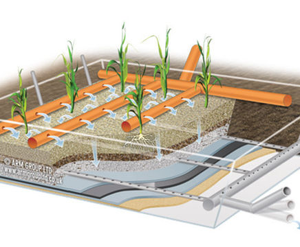 Vertical Flow Reedbeds enhance and improve wastewater treatment