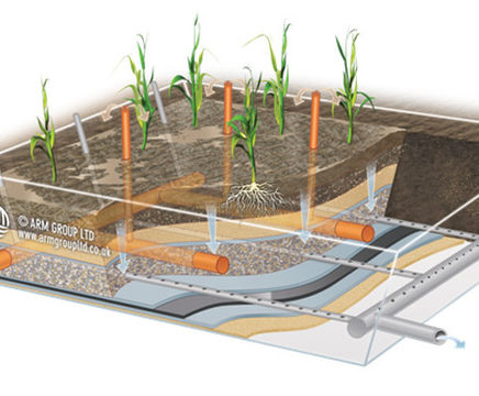 Sludge treatment reedbeds: sludge waste storage and removal