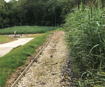 Vertical reedbed system for municipal sewage treatment