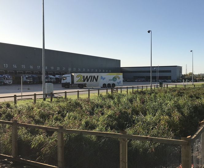 Reedbed design and installation - ALDI RDC, Sawley