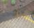 EverEdge Custom: custom-made landscaping products 5