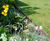 EverEdge Classic - flexible steel edging for gardens and lawns 4