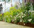 EverEdge Titan - heavy-duty galvanised steel landscape edging 6