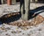 EverEdge Garden Ring edging 1