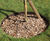 EverEdge Garden Ring edging 2