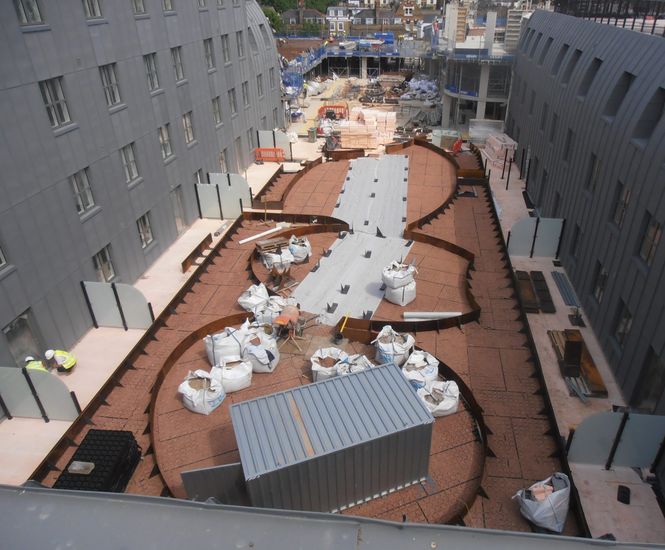 Landscape edging and planters for mixed used development