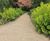 Titan steel pathway edging - RHS Wisley gardens 9