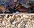 EverEdge Mini Titan heavy-duty steel landscape edging 4