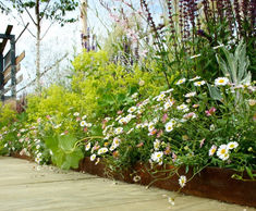EverEdge Mini Titan heavy-duty steel landscape edging