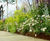 EverEdge Mini Titan heavy-duty steel landscape edging 0