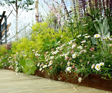 EverEdge Mini Titan heavy-duty steel landscape edging