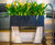 Thesley - metal and GRP trough planters for office space division 1