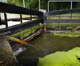 Plaswood outperforms timber on lock gates - on this page