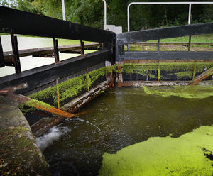 Plaswood outperforms timber on lock gates