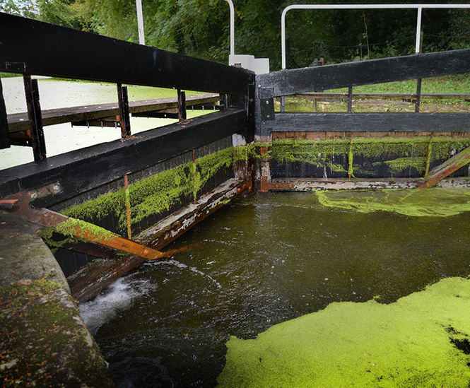 Plaswood outperforms timber on lock gates