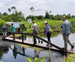 Recycled plastic bridges and jetties for rainforest