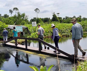 Recycled plastic bridges and jetties for rainforest
