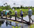 Recycled plastic bridges and jetties for rainforest 0