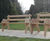 Burbage Bench - hardwood outdoor seating 0