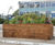 Softwood sleeper planters 1