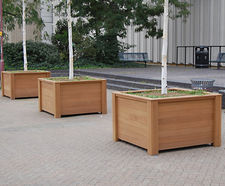 Ultimate iroko tree and shrub planters