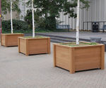 Ultimate iroko tree and shrub planters