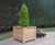 Ultimate iroko tree and shrub planters 6