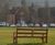 Greenwich - iroko hardwood heavy-duty park seat 3