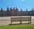 Westminster 2.58m seats for Hampton Court Palace 2