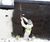 Newton Hydrobond - external Type A waterproofing system 3
