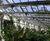 Heritage patent glazing, Botanical Gardens, Sheffield 9