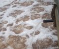 Nitrification Restart Programme for paper mill