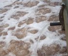 Nitrification Restart Programme for paper mill