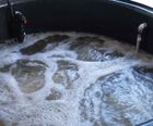Wastewater treatment plant bio-augmentation