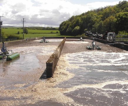 Replacement aerators for wastewater treatment plant 
