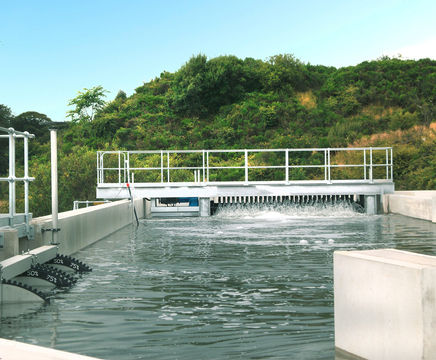 Rotex brush aerator for wastewater treatment