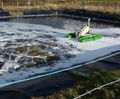 Self-aspirating spiral aerator for wastewater treatment